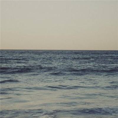 博鱼app官网下载